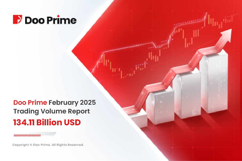 Doo Prime’s February 2025 Trading Volume: A Month of Impressive Growth